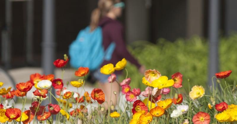 student walking and flowers
